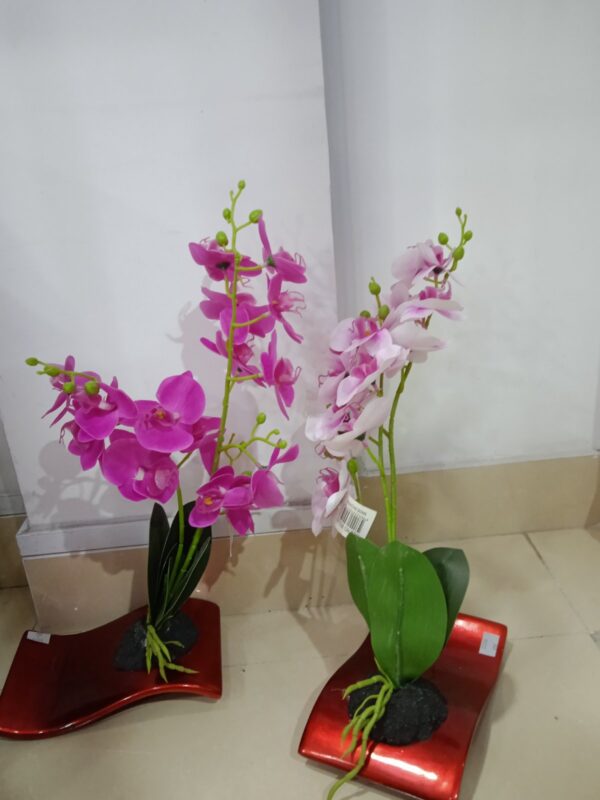 Artificial Plants (S) 1 Feet B53-23