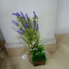 Plastic Plant (B) 2 Feet D22-09