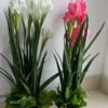 Plastic Palm Plant (B) 3 Feet AD-09