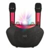 Family KTV Speaker 15W Y-8