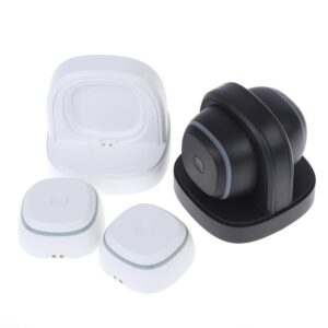 Jeeback Moxibustion Device