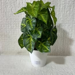 ARTIFICIAL PLANTS B11-002
