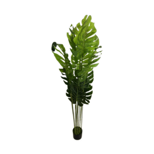Artificial Plants B86-01-12