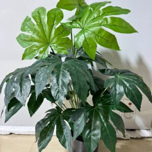 ARTIFICIAL PLANTS B07-041