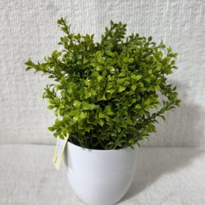 Artificial Plants D22-06