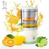 Citrus Juicer YZJ-001