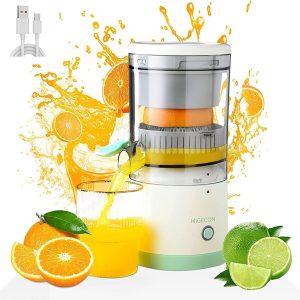 Citrus Juicer YZJ-001